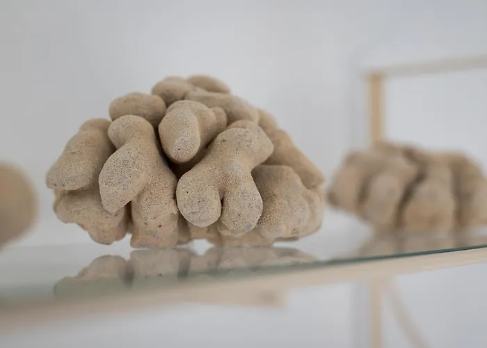 Home2book Stylish Coastal Apartment, Lejlighed *